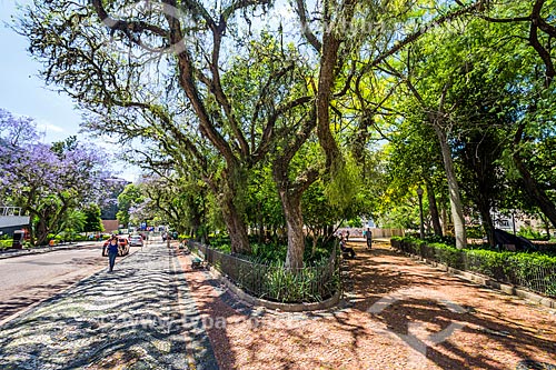  Marechal Deodoro Square - also known as Matriz Square  - Porto Alegre city - Rio Grande do Sul state (RS) - Brazil