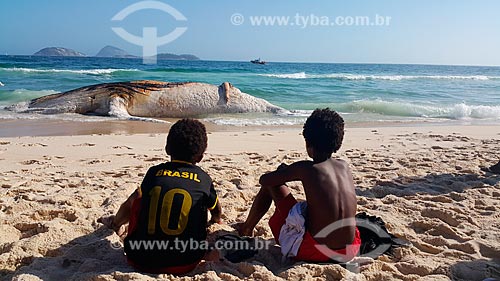  Boys observing dead humpback whale stranded on the shore of Ipanema Beach  - Rio de Janeiro city - Rio de Janeiro state (RJ) - Brazil