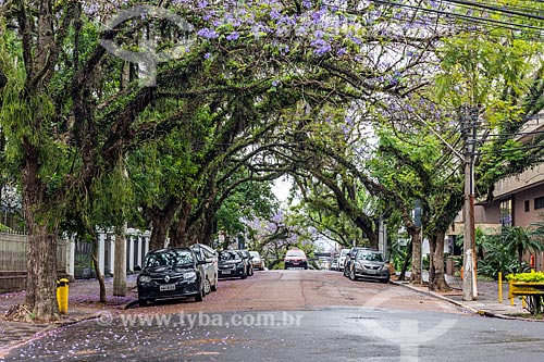  View of the Padre Chagas Street  - Porto Alegre city - Rio Grande do Sul state (RS) - Brazil