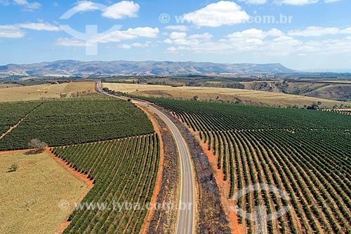  Picture taken with drone of the coffee plantation over of MG-341 highway  - Sao Roque de Minas city - Minas Gerais state (MG) - Brazil