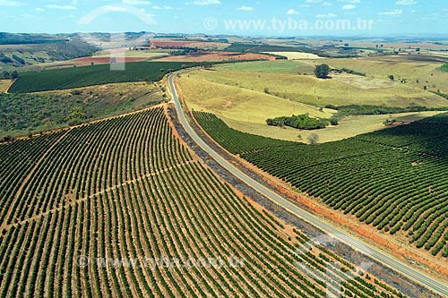  Picture taken with drone of the coffee plantation over of MG-341 highway  - Sao Roque de Minas city - Minas Gerais state (MG) - Brazil