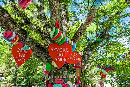  Detail of Tree of love - with hung colorful hearts where visitors leave requests - Caracol State Park  - Canela city - Rio Grande do Sul state (RS) - Brazil