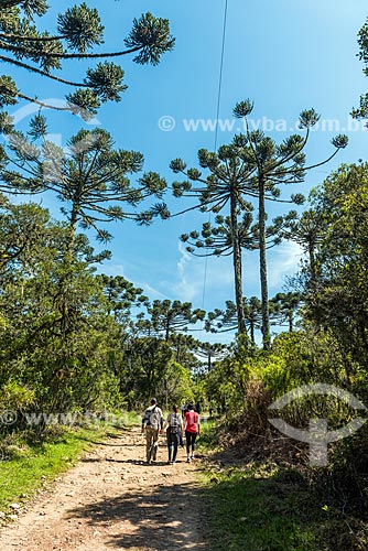  View of the cotovelo trail during the walk to Itaimbezinho Canyon - Aparados da Serra National Park  - Cambara do Sul city - Rio Grande do Sul state (RS) - Brazil