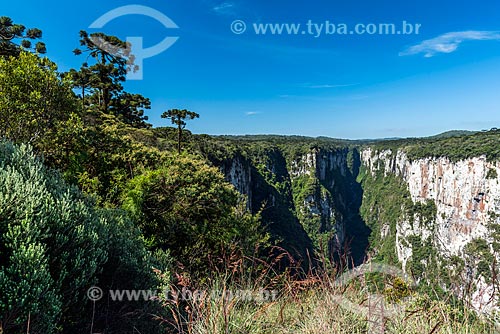  View of the Itaimbezinho Canyon during the cotovelo trail - Aparados da Serra National Park  - Cambara do Sul city - Rio Grande do Sul state (RS) - Brazil