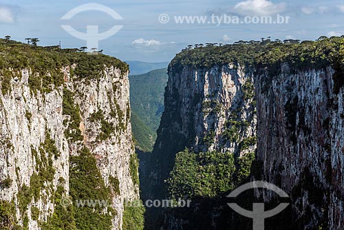  View of the Itaimbezinho Canyon during the cotovelo trail - Aparados da Serra National Park  - Cambara do Sul city - Rio Grande do Sul state (RS) - Brazil