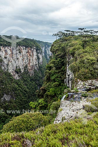  View of the Itaimbezinho Canyon during the vertice trail - Aparados da Serra National Park  - Cambara do Sul city - Rio Grande do Sul state (RS) - Brazil