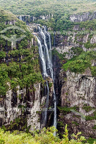  Tigre Preto Waterfall - Serra Geral National Park  - Cambara do Sul city - Rio Grande do Sul state (RS) - Brazil