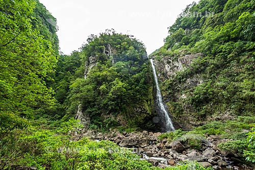  View of the Braco Forte Waterfall - Aparados da Serra National Park  - Cambara do Sul city - Rio Grande do Sul state (RS) - Brazil