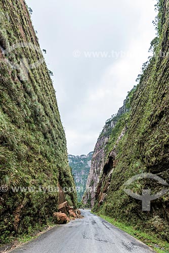  View of landslides - snippet of SC-370 Highway - Corvo Branco Mountain Range  - Urubici city - Santa Catarina state (SC) - Brazil