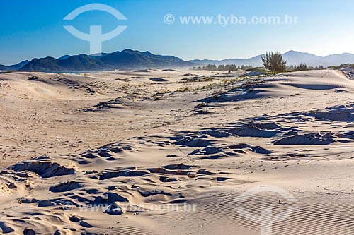  Dunes near to Guarda do Embau Beach - Serra do Tabuleiro State Park  - Palhoca city - Santa Catarina state (SC) - Brazil