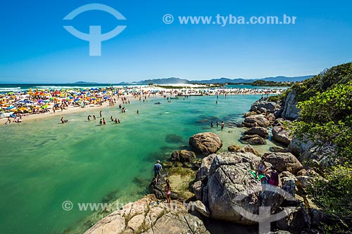  View of bathers - Guarda do Embau Beach waterfront - Serra do Tabuleiro State Park  - Palhoca city - Santa Catarina state (SC) - Brazil