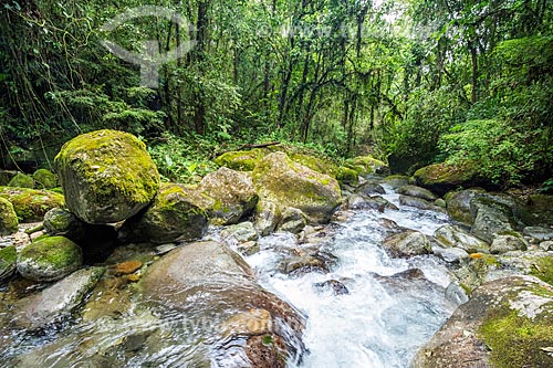  Santo Antonio River - Serrinha do Alambari Environmental Protection Area  - Resende city - Rio de Janeiro state (RJ) - Brazil