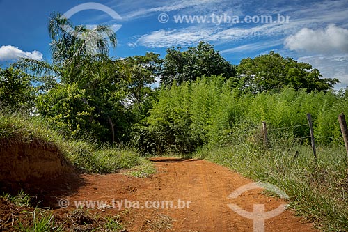  Dirt road - Guarani city rural zone  - Guarani city - Minas Gerais state (MG) - Brazil