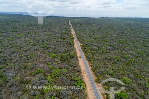  Picture taken with drone of the Araripe-Apodi National Forest with the CE-060 highway - also known as Padre Cicero highway  - Barbalha city - Ceara state (CE) - Brazil