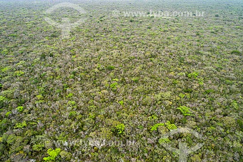  Picture taken with drone of the Araripe-Apodi National Forest  - Barbalha city - Ceara state (CE) - Brazil