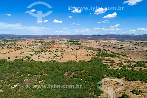  Picture taken with drone of the Borborema Plateau caatinga vegetation  - Mauriti city - Ceara state (CE) - Brazil