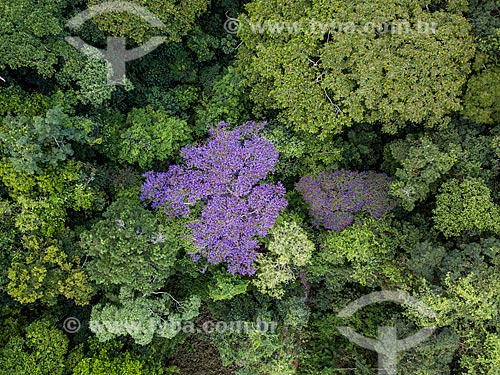 Picture taken with drone of the Tijuca National Park  - Rio de Janeiro city - Rio de Janeiro state (RJ) - Brazil
