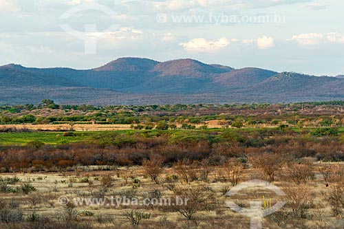  Landscape of Cariri Region  - Sousa city - Paraiba state (PB) - Brazil