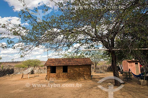  Clay house - Travessao do Ouro village of the Pipipas tribe  - Floresta city - Pernambuco state (PE) - Brazil