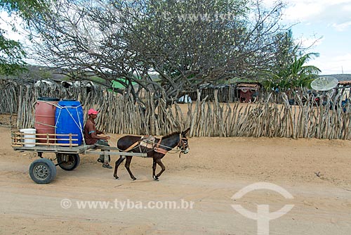  Indigenous from village of the Pipipas tribe carrying water on wagon  - Floresta city - Pernambuco state (PE) - Brazil