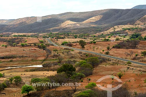  View of snippet of the PB-306 Highway  - Manaira city - Paraiba state (PB) - Brazil