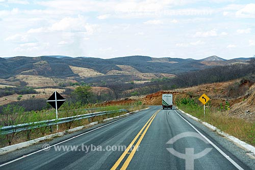  View of snippet of the PB-306 Highway  - Manaira city - Paraiba state (PB) - Brazil