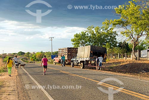  Trucks - kerbside of the CE-384 highway  - Mauriti city - Ceara state (CE) - Brazil