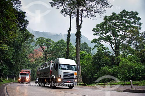  Trucks - Washington Luís Highway (BR-040)  - Petropolis city - Rio de Janeiro state (RJ) - Brazil