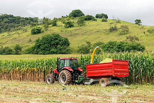  Transgenic corn mechanized harvesting - for silage and cattle feed - Guarani city rural zone  - Guarani city - Minas Gerais state (MG) - Brazil