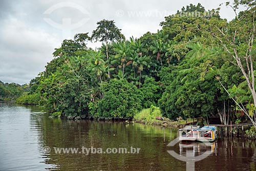  View of the Preto River (Black River) margin  - Mazagao city - Amapa state (AP) - Brazil