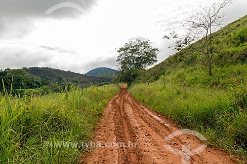  Dirt road before rain - Guarani city rural zone  - Guarani city - Minas Gerais state (MG) - Brazil