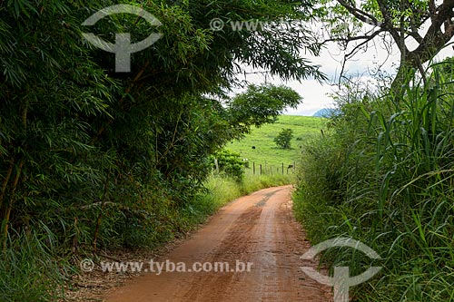  Dirt road - Guarani city rural zone  - Guarani city - Minas Gerais state (MG) - Brazil