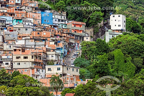  Detail of boundary between the Cerro Cora Slum and vegetation  - Rio de Janeiro city - Rio de Janeiro state (RJ) - Brazil