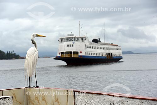  View of great egret (Ardea alba) with barge that makes crossing between Rio de Janeiro and Paqueta near to Station Waterway Paqueta Island  - Rio de Janeiro city - Rio de Janeiro state (RJ) - Brazil