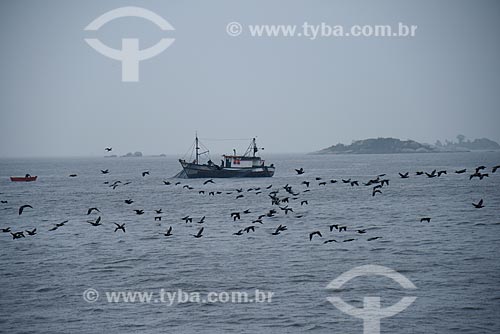  View of trawler boat - Guanabara Bay surrounded by sea birds  - Rio de Janeiro city - Rio de Janeiro state (RJ) - Brazil