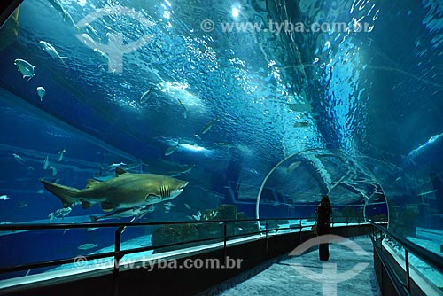  People inside of AquaRio - marine aquarium of the city of Rio de Janeiro  - Rio de Janeiro city - Rio de Janeiro state (RJ) - Brazil