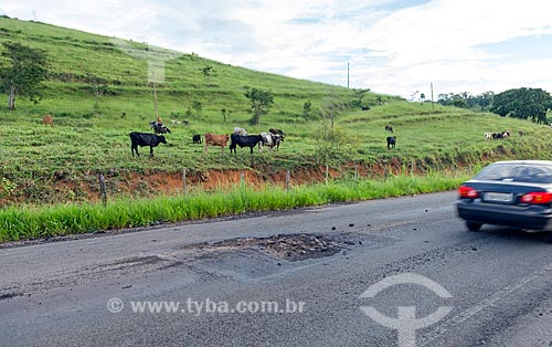  Bad condition of asphalt of the MG-126 highway between the Guarani and Rio Novo cities with cattle raising in the pasture in the background  - Rio Novo city - Minas Gerais state (MG) - Brazil
