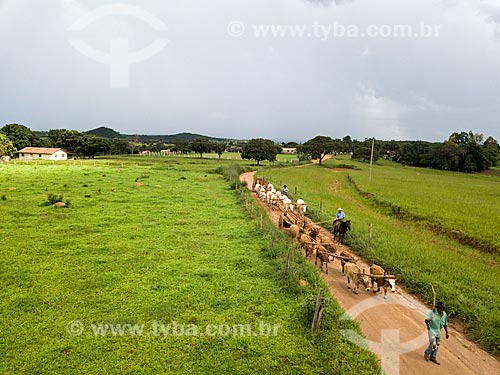  Picture taken with drone of the ox car carrying wood  - Mossamedes city - Goias state (GO) - Brazil
