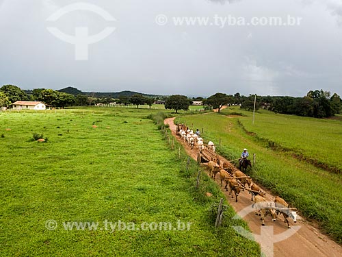  Picture taken with drone of the ox car carrying wood  - Mossamedes city - Goias state (GO) - Brazil