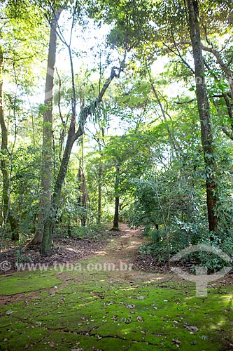  Trail - Bosque dos Buritis (Woods of Buritis)  - Goiania city - Goias state (GO) - Brazil