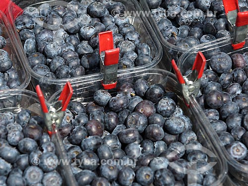  Detail of blueberry to sale - Albert Cuyp Market  - Amsterdam city - North Holland - Netherlands