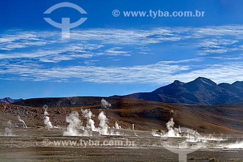  General view of the Geyser del Tatio (Tatio Geyser) - Atacama Desert  - San Pedro de Atacama city - El Loa Province - Chile