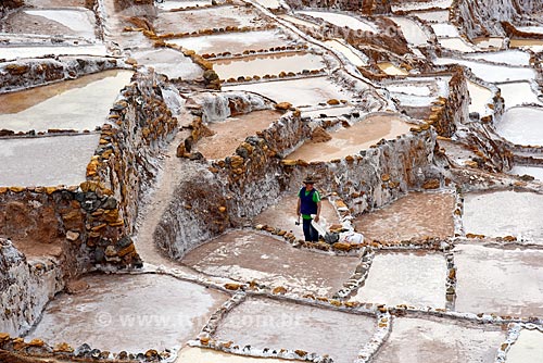  Labourer working - salt evaporation ponds of the Maras Saltern  - Maras city - Urubamba province - Peru