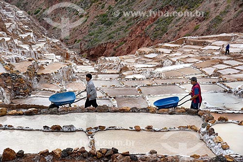  Labourers working - salt evaporation ponds of the Maras Saltern  - Maras city - Urubamba province - Peru