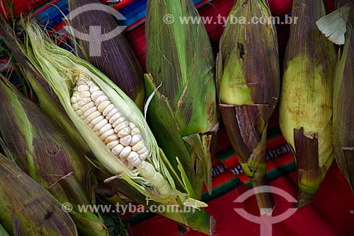  Detail of white maize corn cobs to sale - Machu Picchu pueblo city  - Machu Picchu pueblo city - Cusco Department - Per