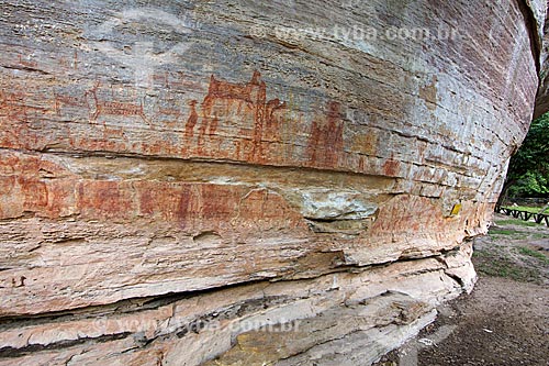  Detail of rupestrian paintings - Archaeological Site of Toca Pinga do Boi - Serra da Capivara National Park  - Sao Raimundo Nonato city - Piaui state (PI) - Brazil