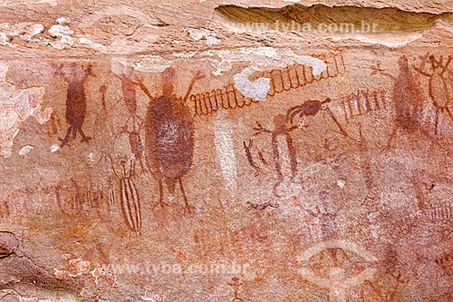  Detail of rupestrian painting - animals figures - Archaeological Site of Toca do Joao Arsena - Serra da Capivara National Park  - Sao Raimundo Nonato city - Piaui state (PI) - Brazil