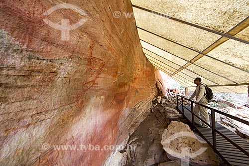  Man observing of rupestrian painting - Archaeological Site of Toca do Joao Arsena - Serra da Capivara National Park  - Sao Raimundo Nonato city - Piaui state (PI) - Brazil