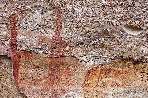  Detail of rupestrian painting - animals figures - Archaeological Site of Toca do Boqueirao da Pedra Furada - Serra da Capivara National Park  - Coronel Jose Dias city - Piaui state (PI) - Brazil