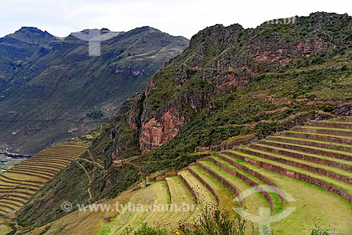  Ruin of terrace - Archaeological Park of Pisac  - Pisac city - Cusco Department - Peru